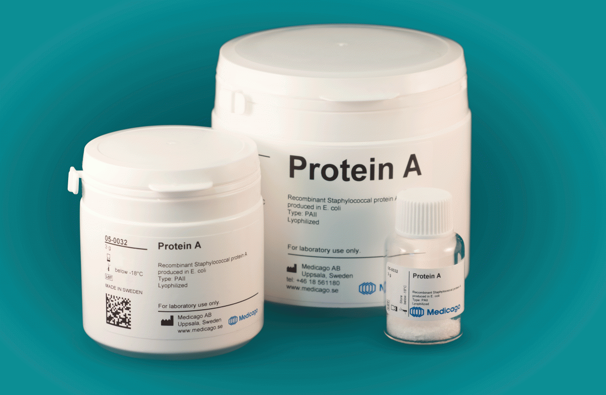 Protein A Variant PAII