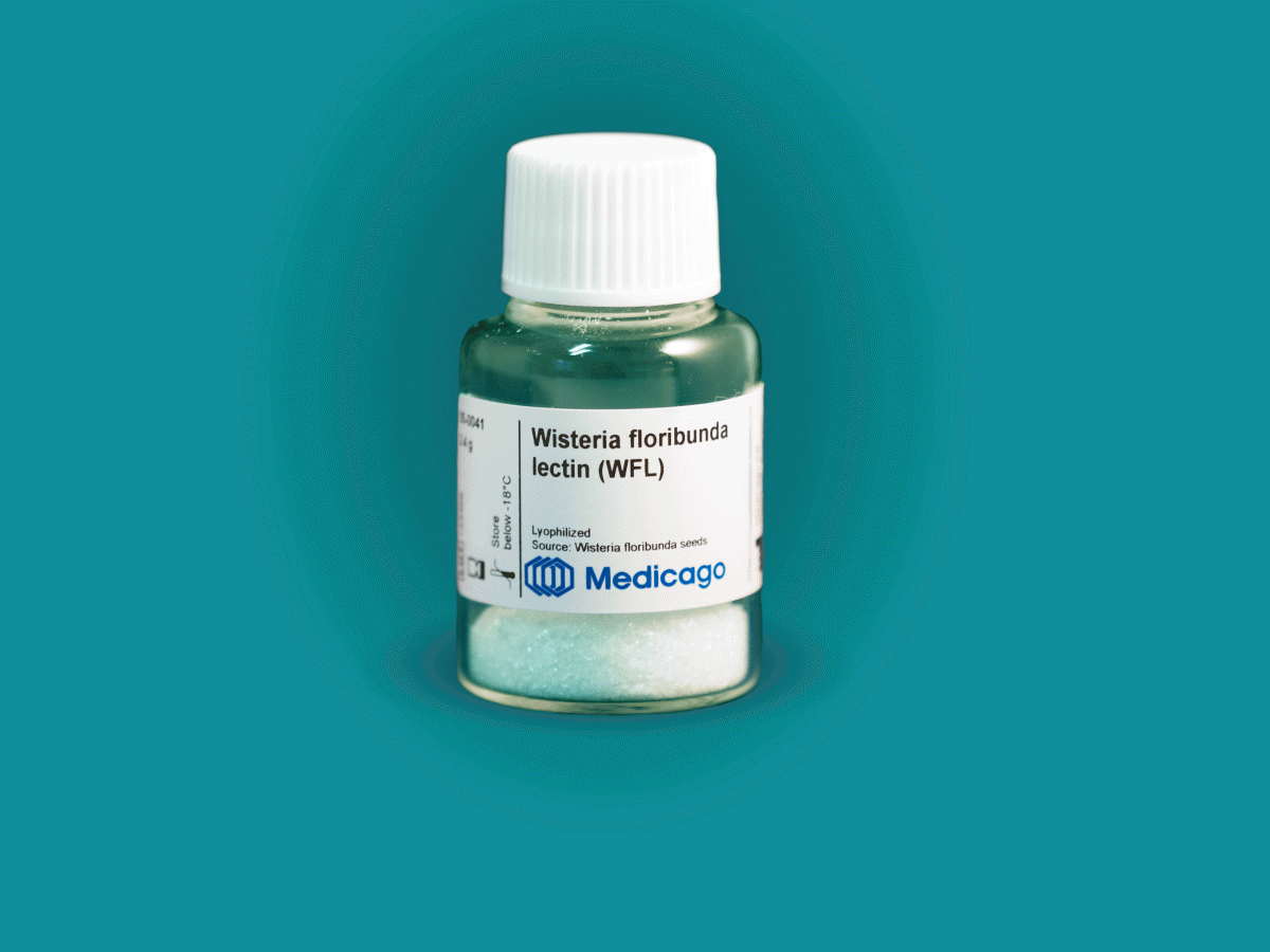 WFL WFL Product-depiction