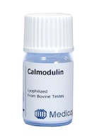 Bioactive Proteins.Calmodulin