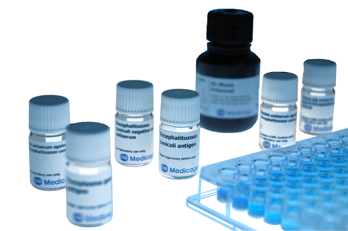 Immuno Reagents