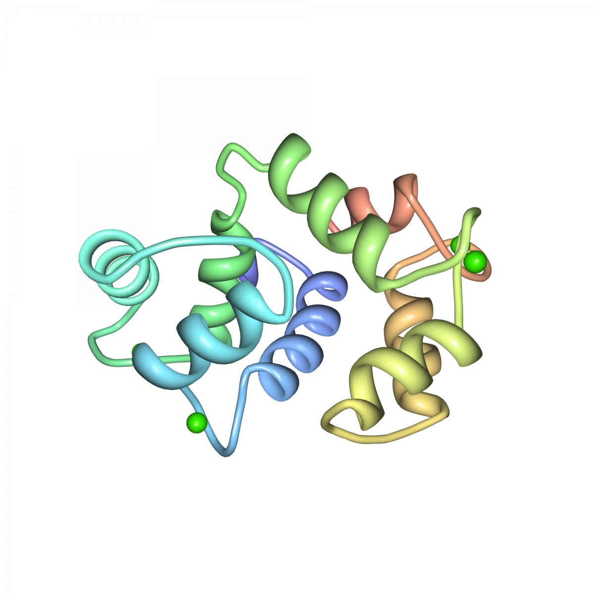 Calmodulin