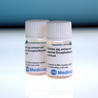 Antiserum against E. cuniculi Antiserum against E. cuniculi