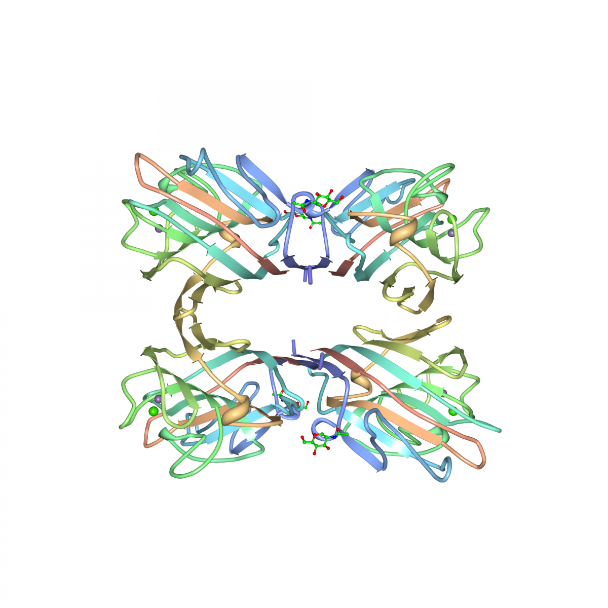 Crystal structure of PHA-L