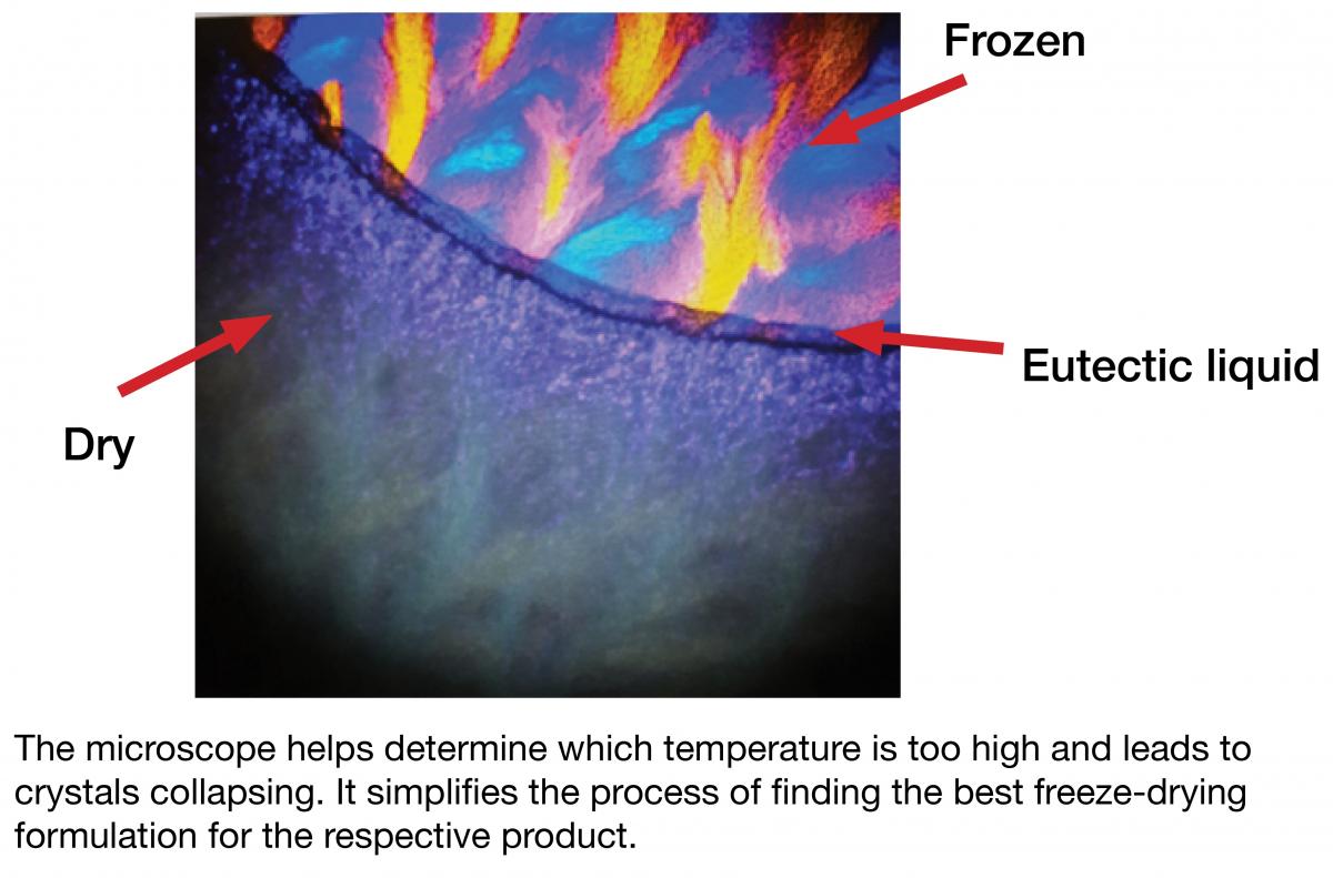 Process Freezedrying Microscope