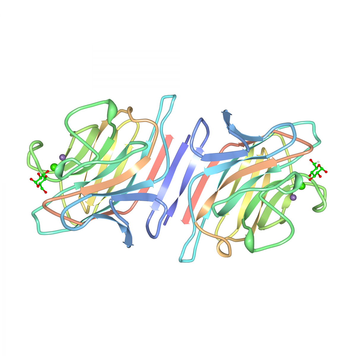 Crystal structure of PSA-D-glucopyranose complex