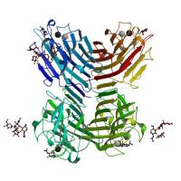 WFL Structure WFL Structure