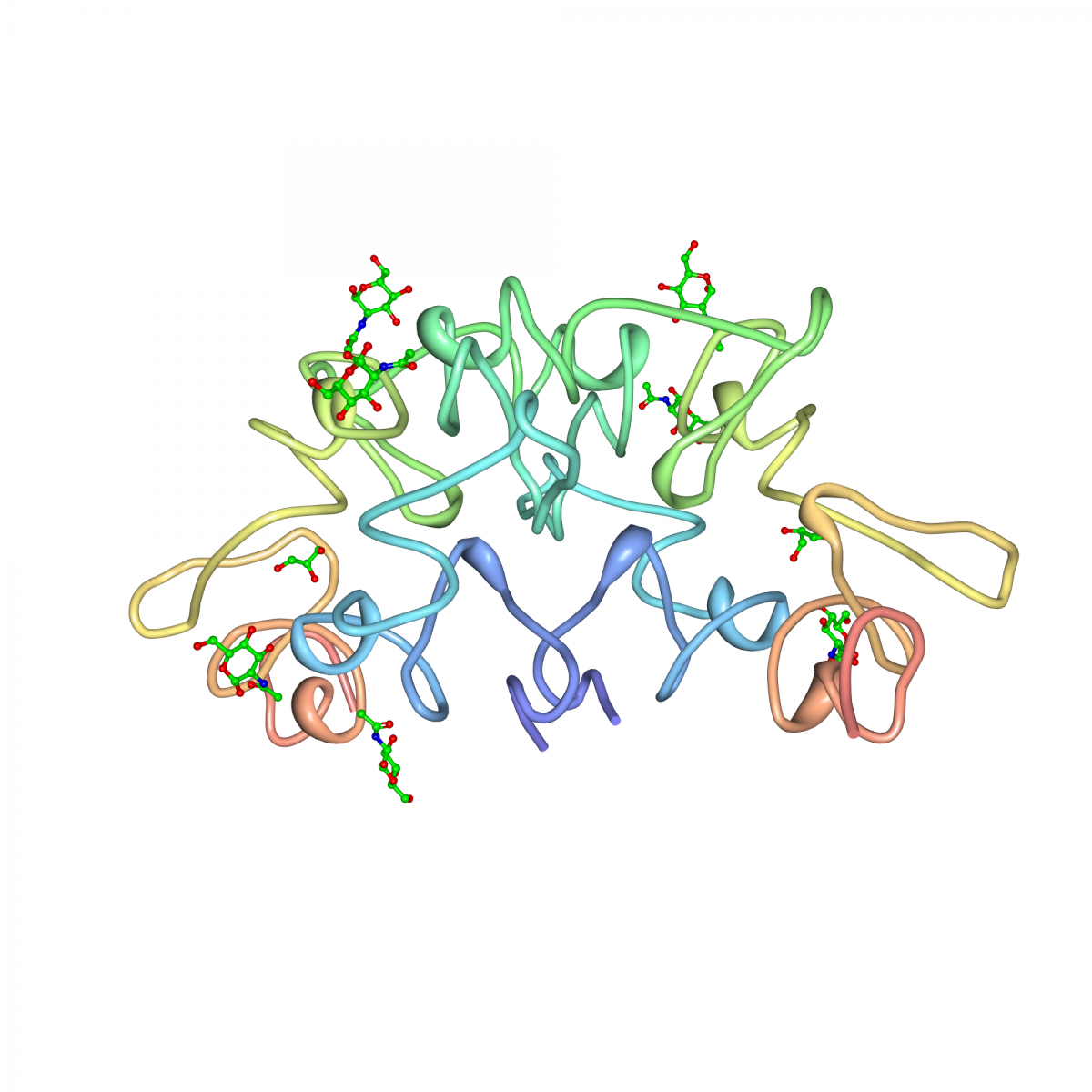 Crystal structure Triticum vulgaris lectin (WGA)