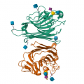 Structure MAL from PDB